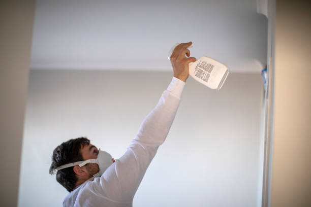 Best Local Mold Removal Service  in Sammamish, WA
