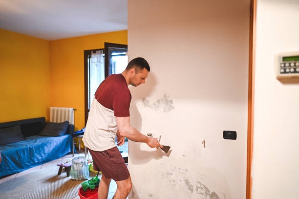 Best Water Damage Restoration  in Sammamish, WA